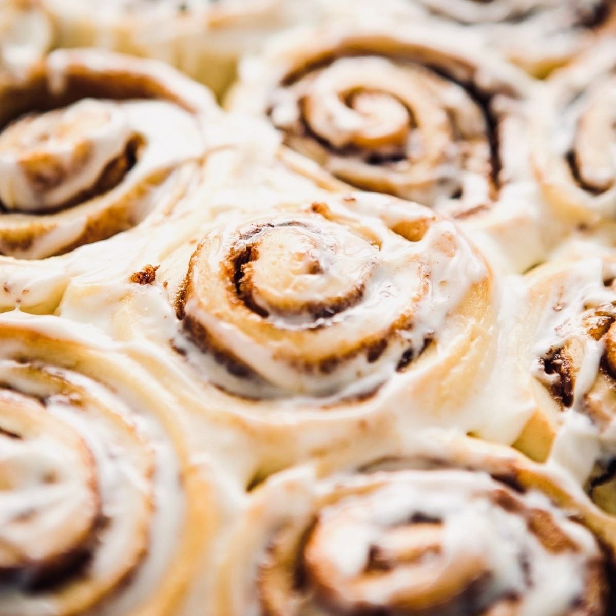 Fresh baked cinnamon rolls with icing